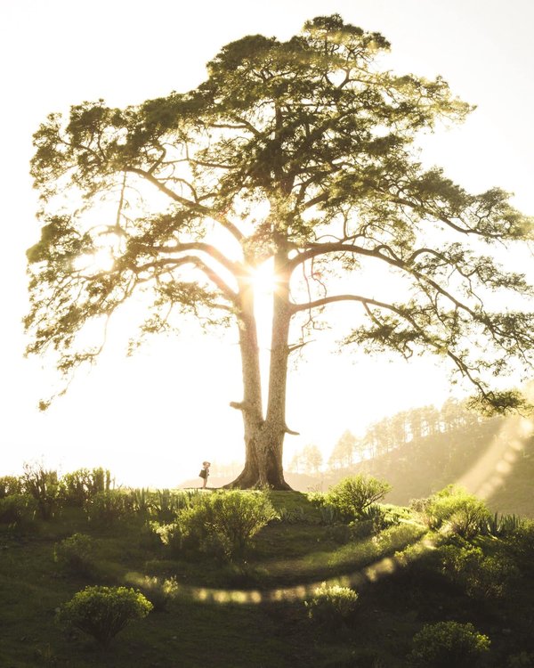 les meilleurs combattants de tous les temps