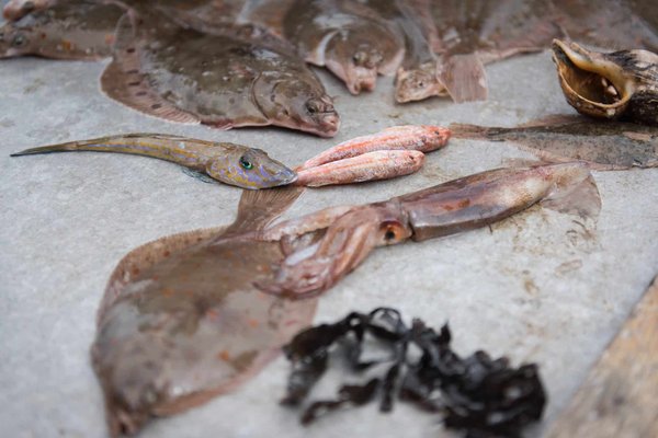 les combats les plus attendus de l'année à venir