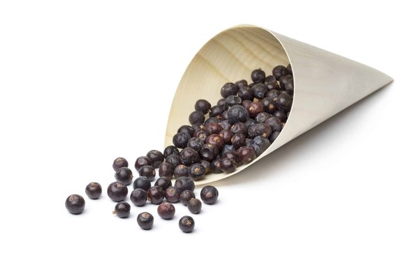 Comment choisir son sac de portage pour le parapente ?